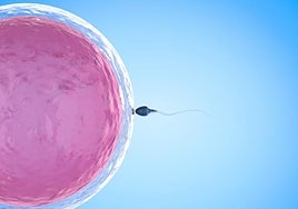 ¿Por qué algunos hombres no producen esperma?