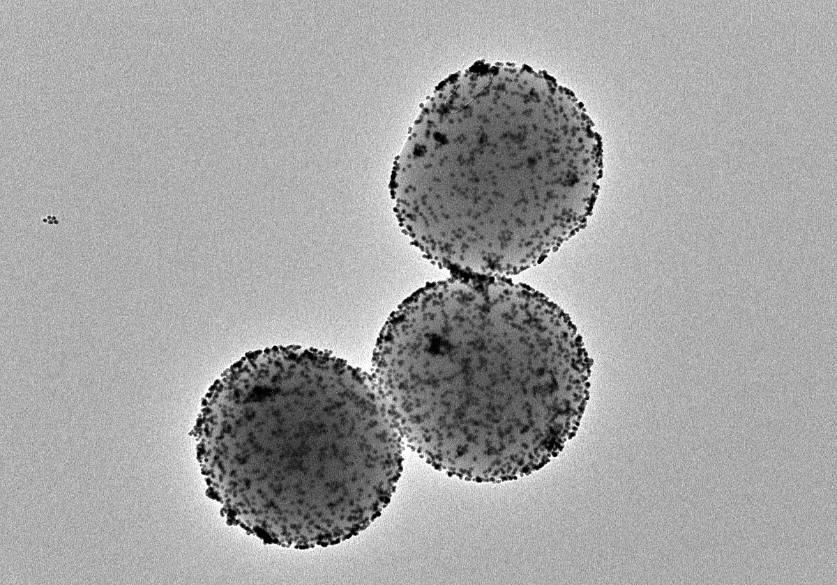 Imagen de microscopía electrónica de transmisión de los nanorobots