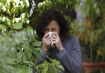 ¿Por qué las alergias ya están aquí si aún no es primavera?