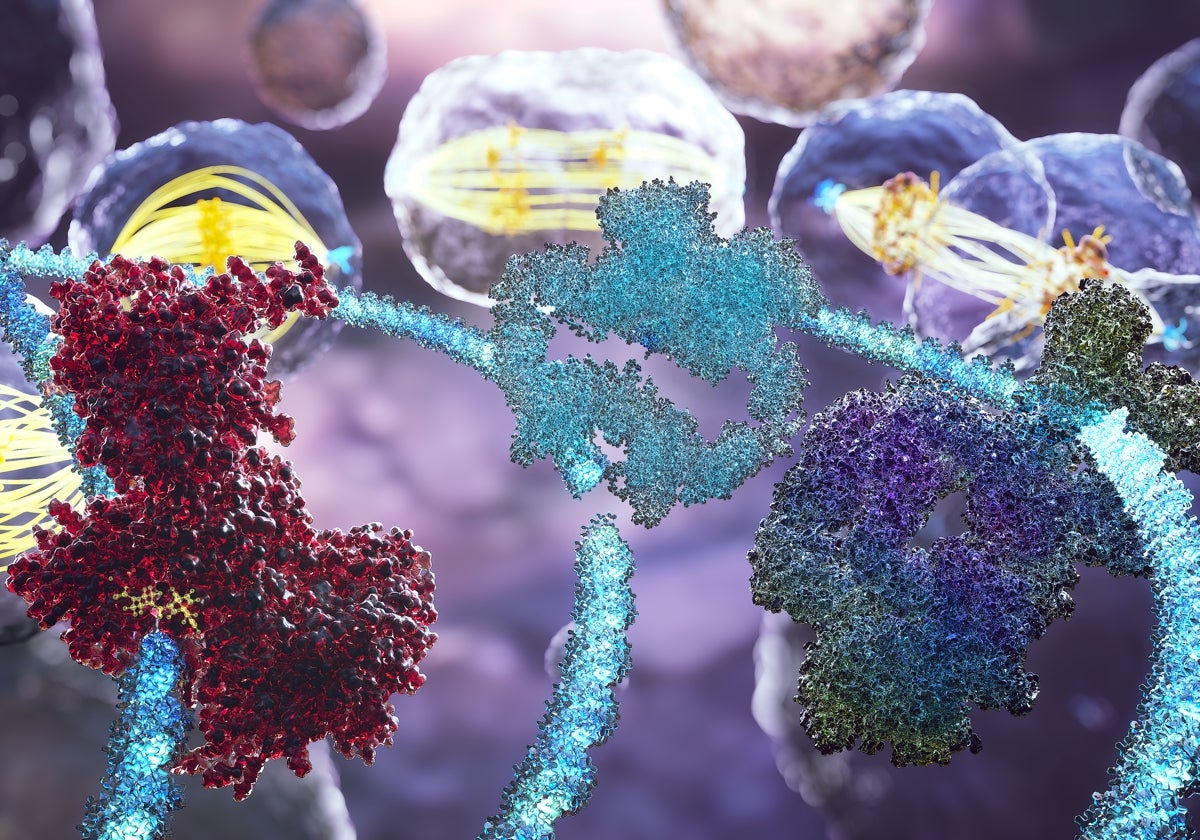 Diagnóstico molecular para abordar el cáncer de manera más efectiva y precisa