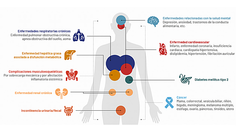 Principales enfermedades asociadas con la obesidad