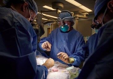 El equipo del hospital de Nueva York que hizo el primer injerto de riñón de cerdo, aunque en esa ocasión el enfermo estaba en muerte cerebral