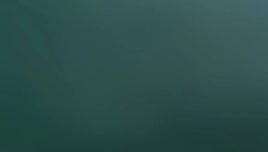 ¿Cuánto vas al baño? Tu salud depende de la frecuencia