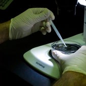 Las proteínas sanguíneas avisan del riesgo de más de 60 enfermedades