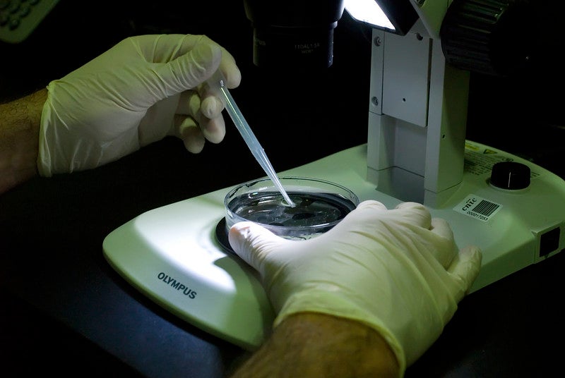 Análisis de proteínas