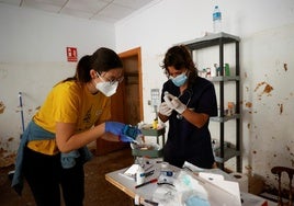 Qué es la leptospirosis, la enfermedad con dos posibles casos entre voluntarios de la DANA