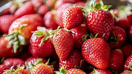 Ni en un plato ni en su propio envase: el truco para que las fresas aguanten frescas más tiempo en el frigorífico