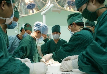 Realizan el primer trasplante de hígado de cerdo a una persona en muerte cerebral