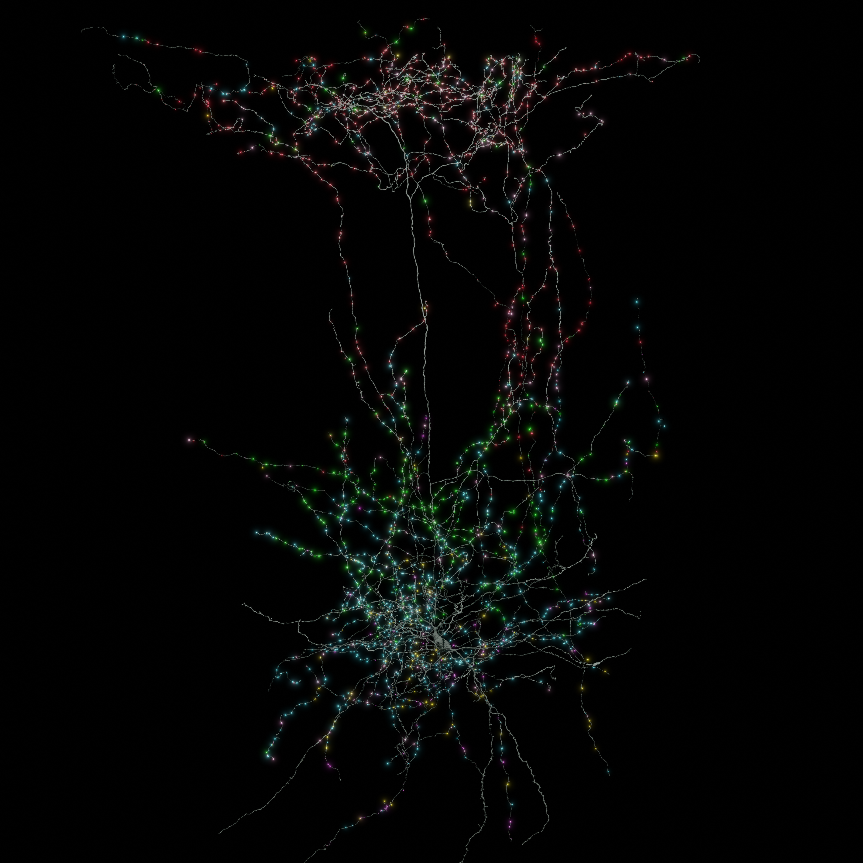El mapa de un milímetro cúbico de cerebro abre la puerta al tratamiento del alzhéimer, autismo o el párkinson