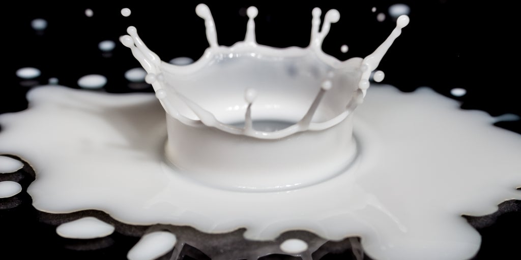 ¿Alergia a la leche de vaca o intolerancia a la lactosa? Claves para entender sus diferencias