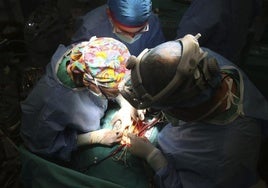 Trasplante cardiaco