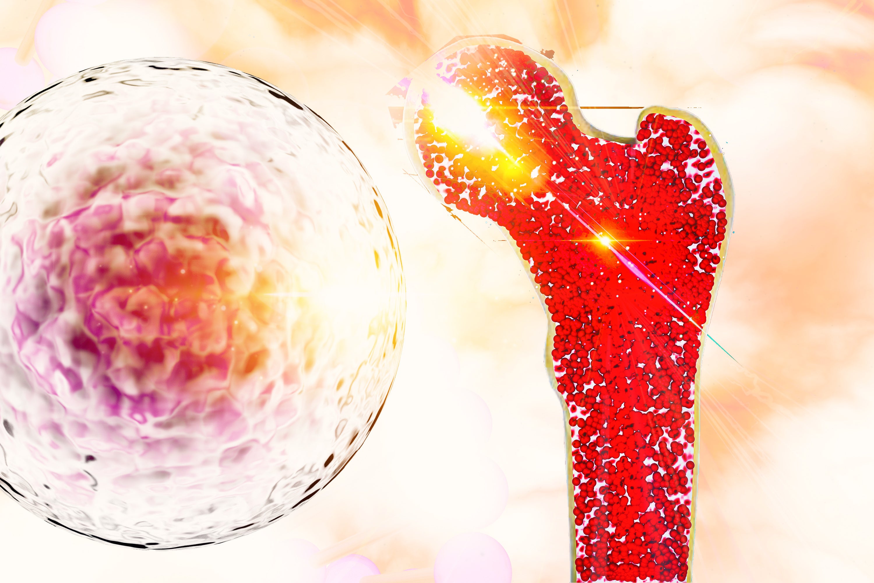 Células de la sangre