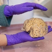 Cerebro de un SuperAbuelo