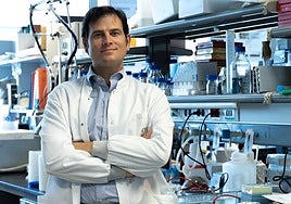 Una investigación española revoluciona el tratamiento del infarto y pone fin a una práctica utilizada desde hace cuatro décadas