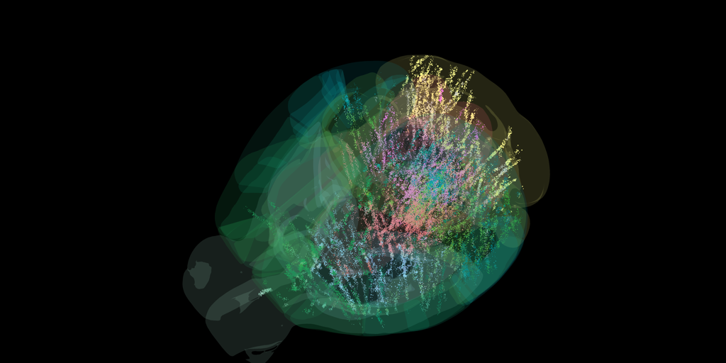 El primer mapa global de la actividad cerebral desafía la visión tradicional del cerebro