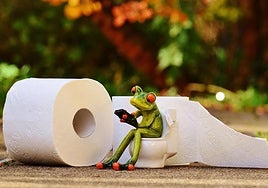 Hemorroides, el  precio de hacer 'scroll' con el móvil en el baño