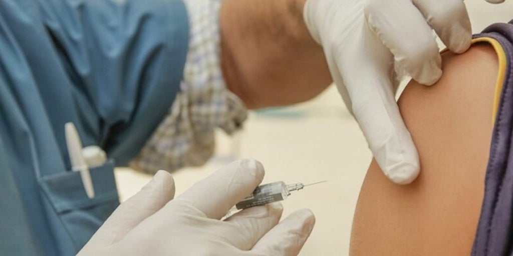 Este cóctel de anticuerpos protege frente a todos los tipos de virus de la gripe