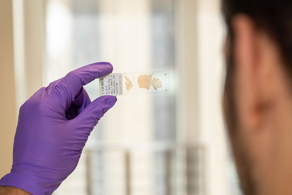 Laboratorio de investigación