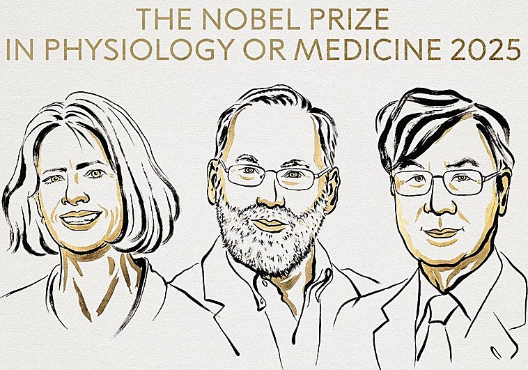 Nobel de Medicina 2025 a los descubridores de las células 'guardianes' del sistema  inmune