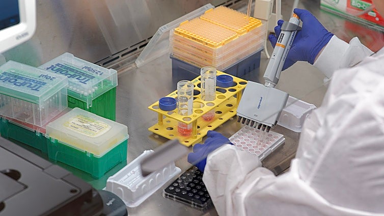 Prueban con éxito en personas una vacuna contra el tifus y la salmonella