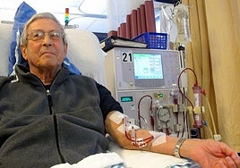 Un riñón de cerdo funciona dos meses en un receptor con muerte cerebral