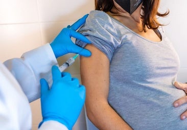 La vacuna de la tos ferina en embarazadas fortalece el sistema inmunológico de sus bebés