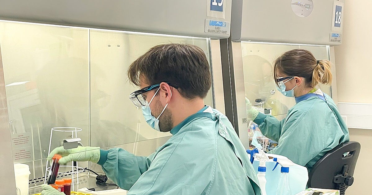 Descubren qué alteraciones presentan los niños con Covid persistente en su sistema inmunitario