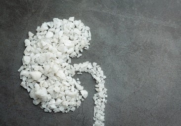 Las terapias CAR-T saltan de la oncología a los trasplantes: la nueva esperanza para los pacientes «incompatibles»