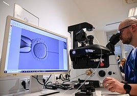 Una nueva tecnología abre la puerta a curar casi desde la concepción y crear bebés de diseño
