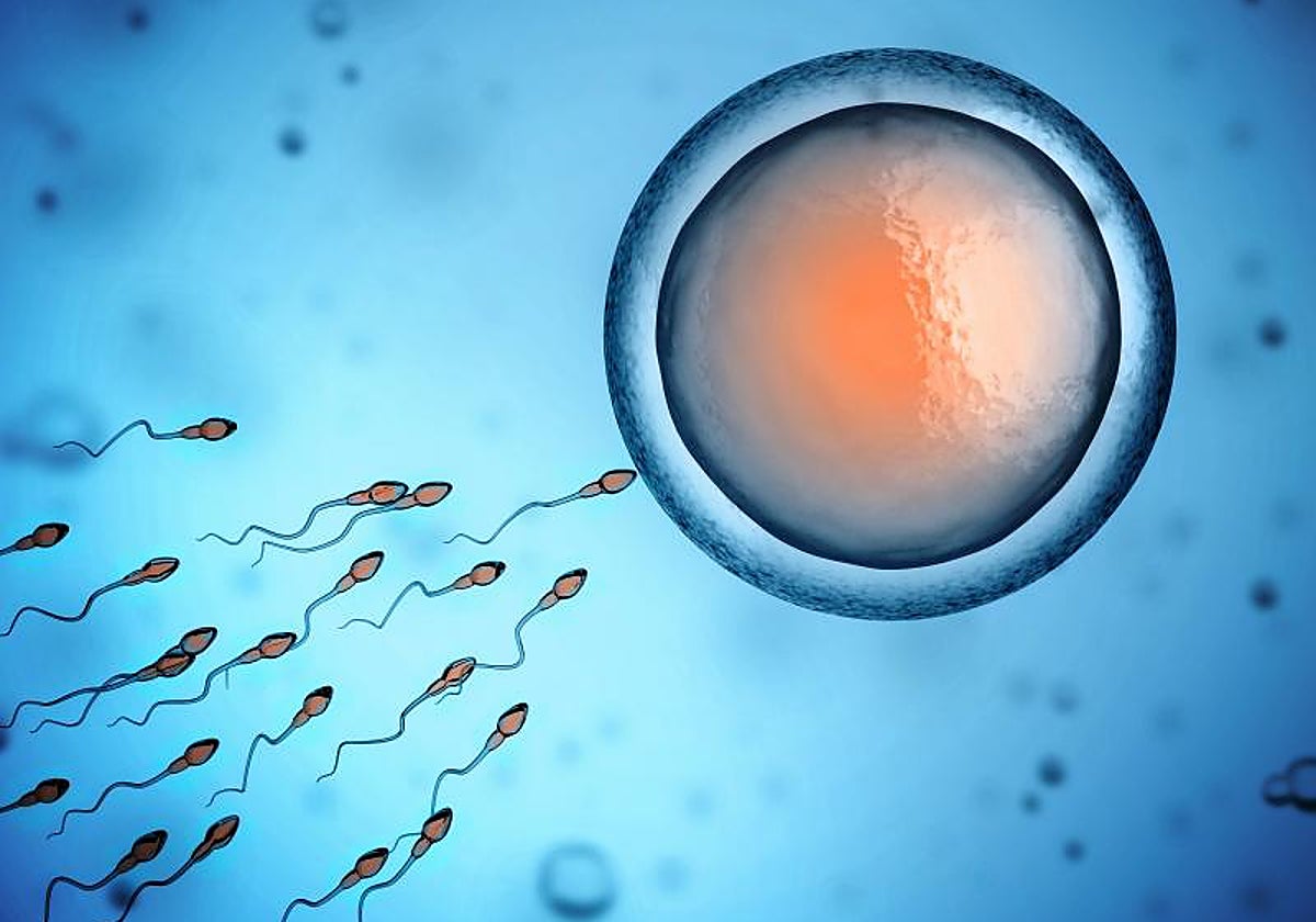Un gel a domicilio para activar a los espermatozoides lentos