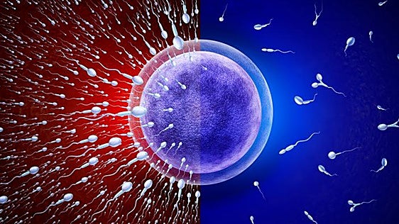 Ocho consejos de una experta en fertilidad para mejorar la calidad de tu semen