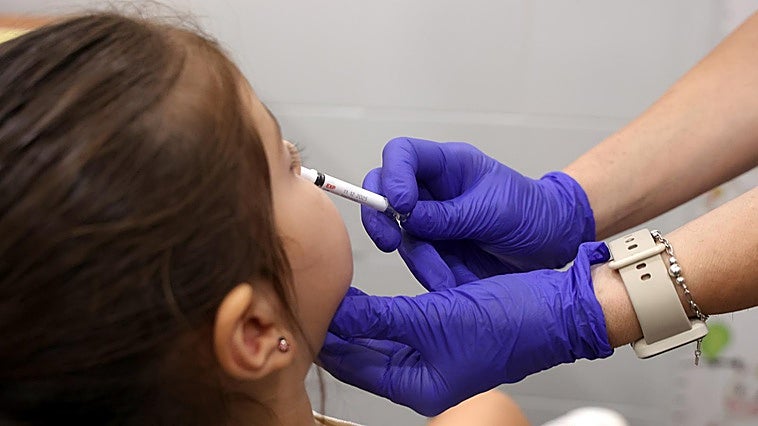¿Cómo viene la gripe en España este año?