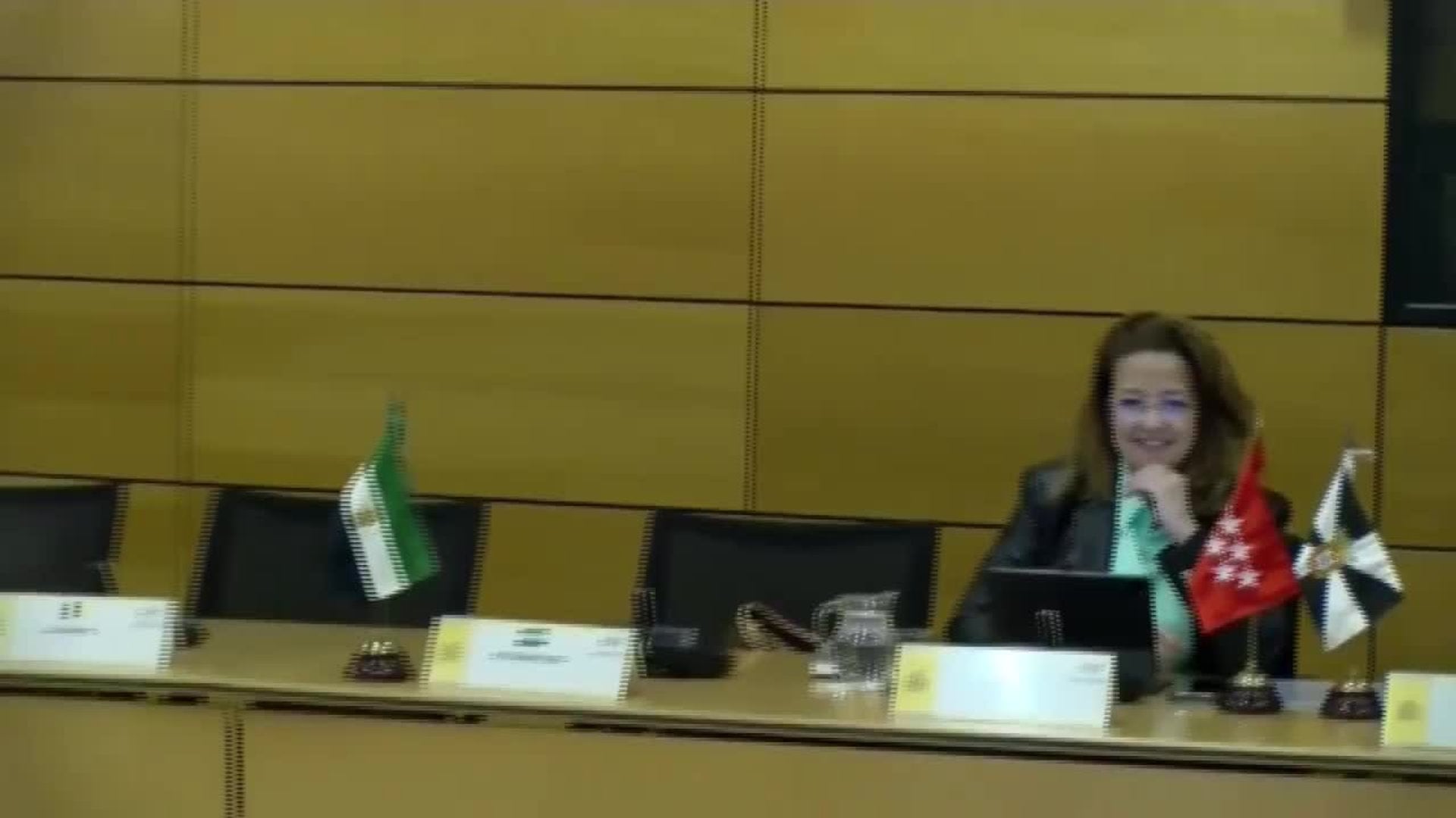 Imágenes del Consejo Interterritorial de Salud