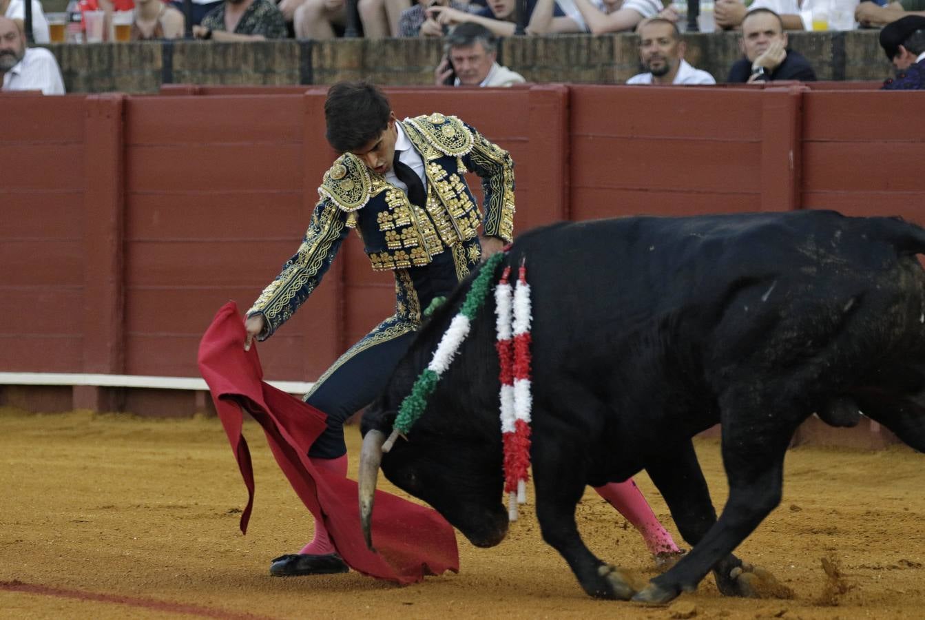 Primera novillada del ciclo de promoción en la Maestranza de Sevilla