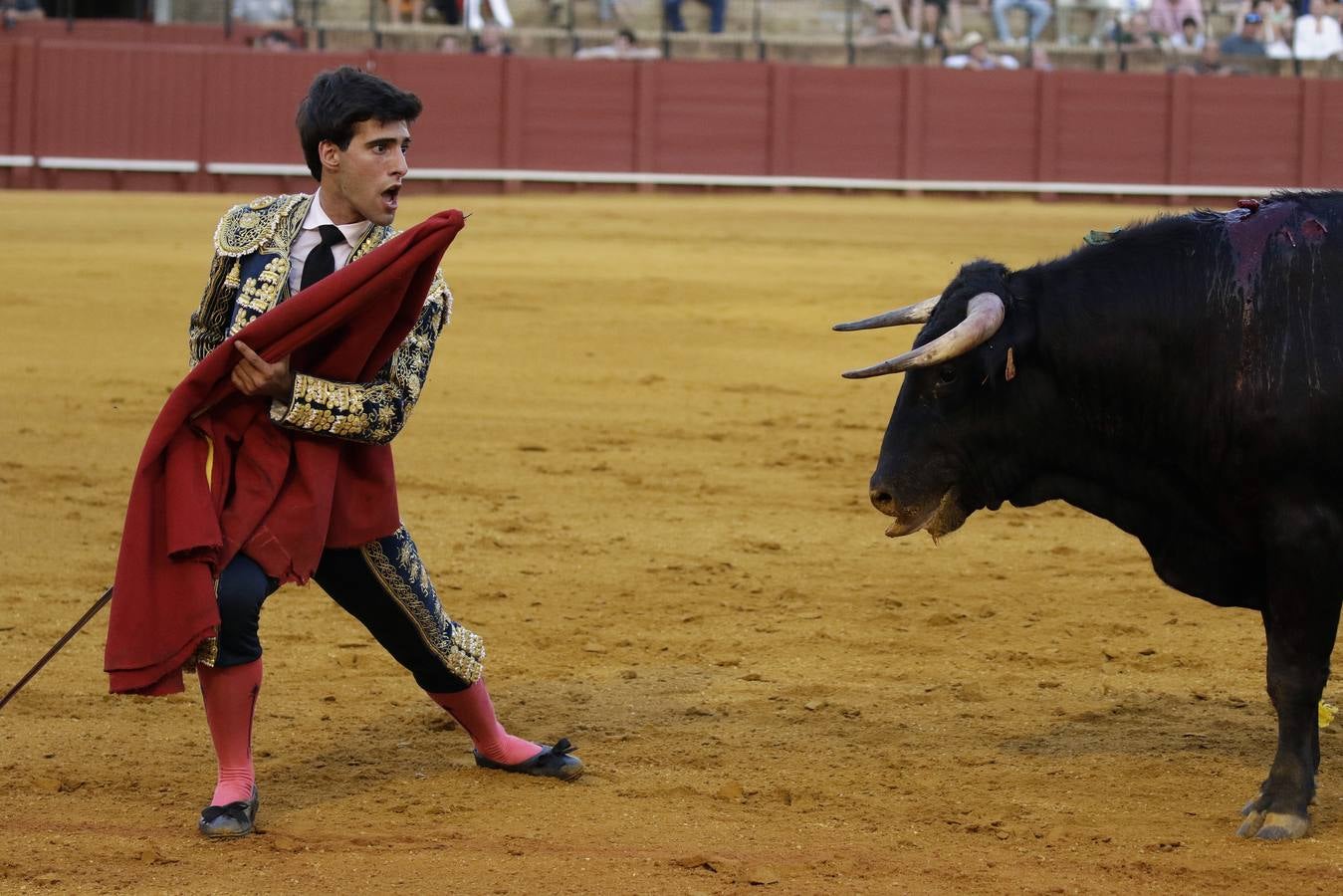 Primera novillada del ciclo de promoción en la Maestranza de Sevilla