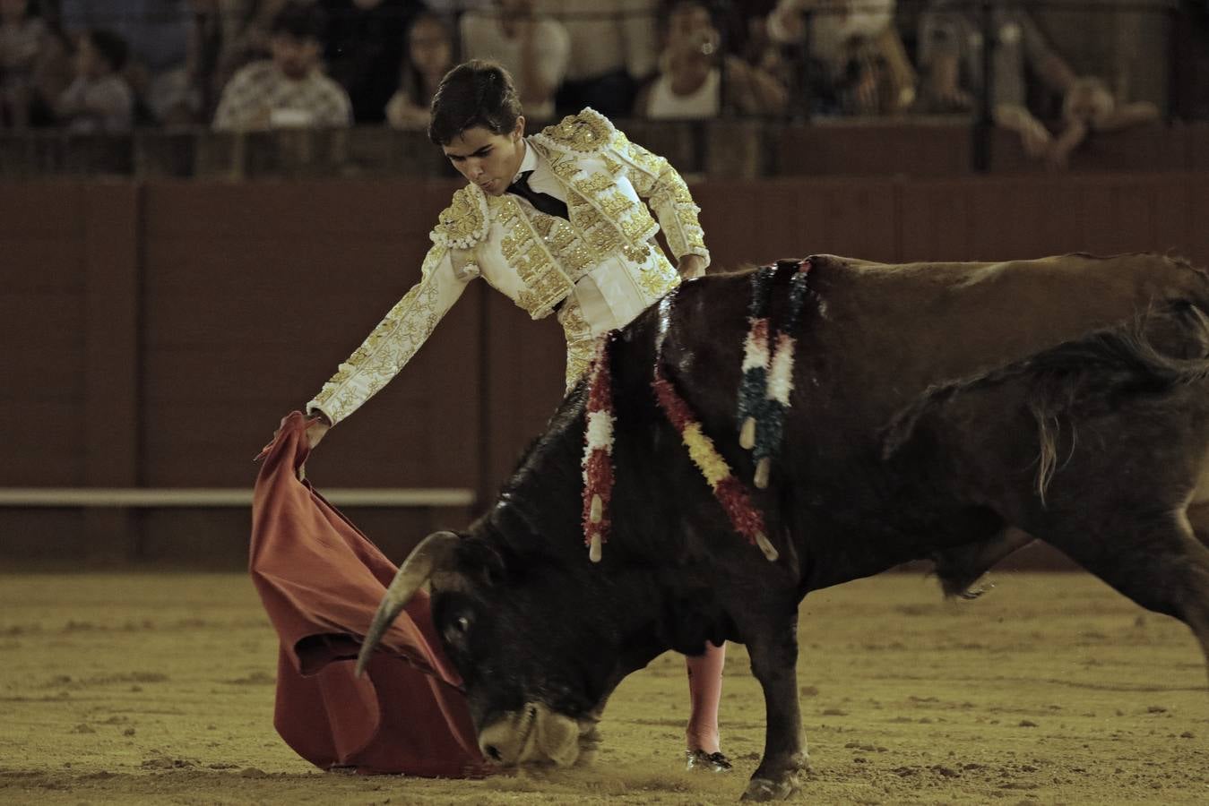 Primera novillada del ciclo de promoción en la Maestranza de Sevilla