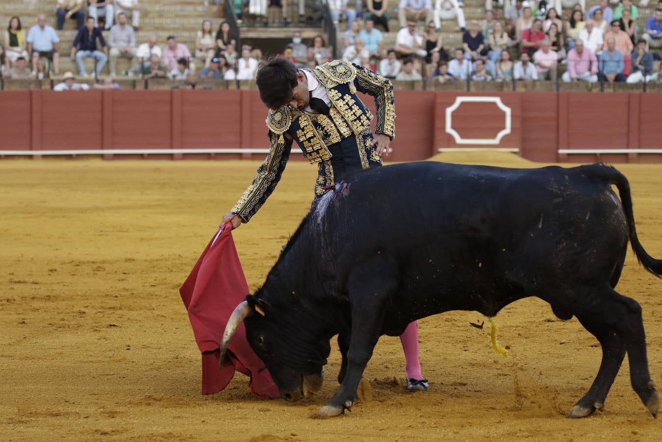 Primera novillada del ciclo de promoción en la Maestranza de Sevilla