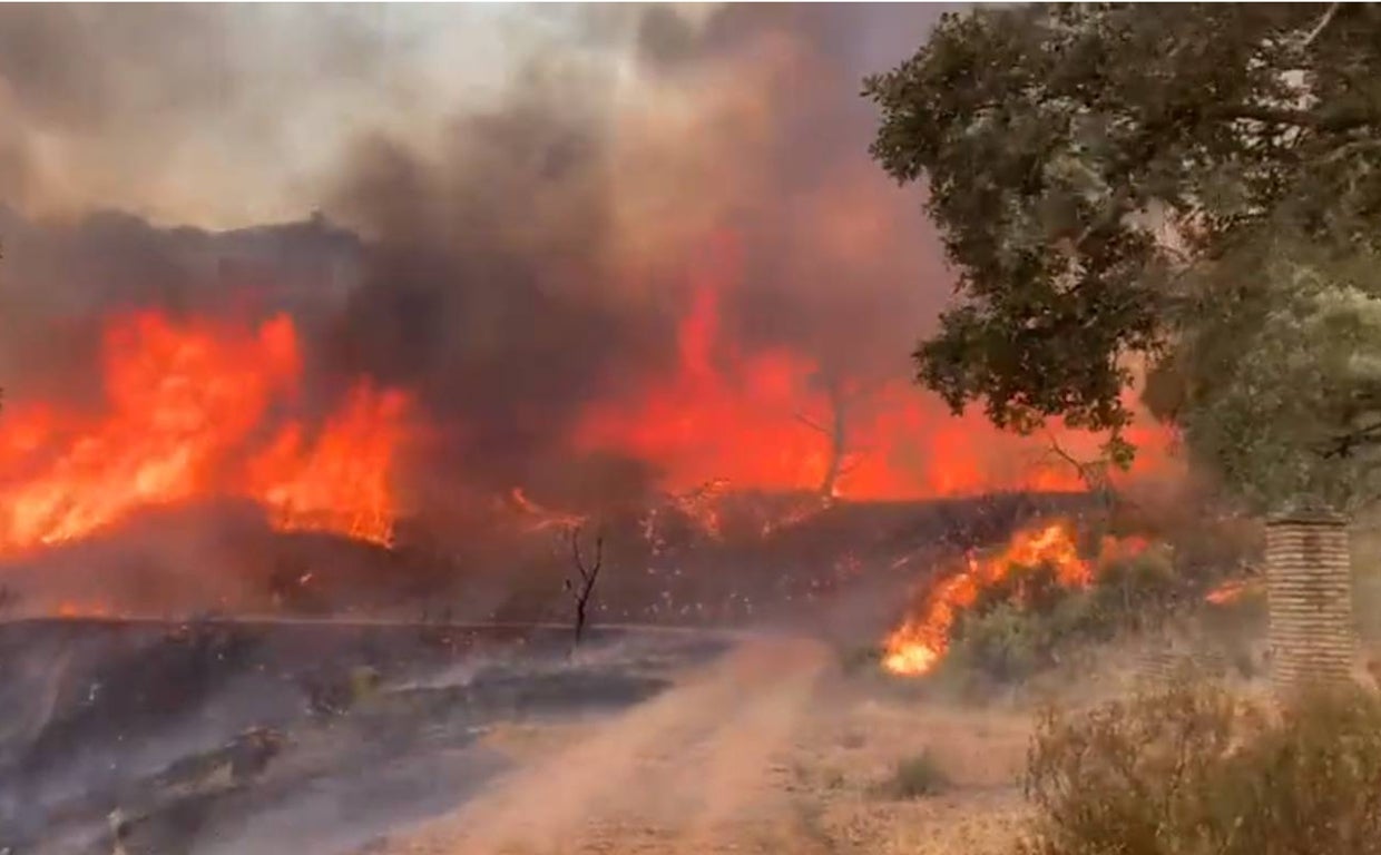 Imagen aérea tomada por los servicios de Infoca