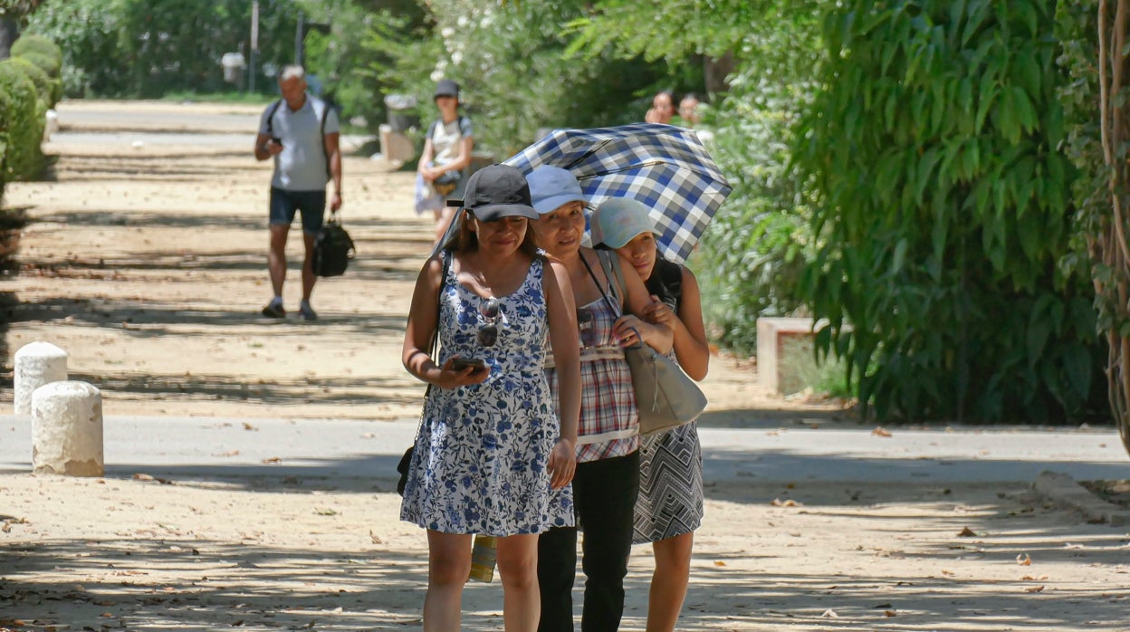 El tiempo: activada la alerta roja en Sevilla por temperaturas extremas