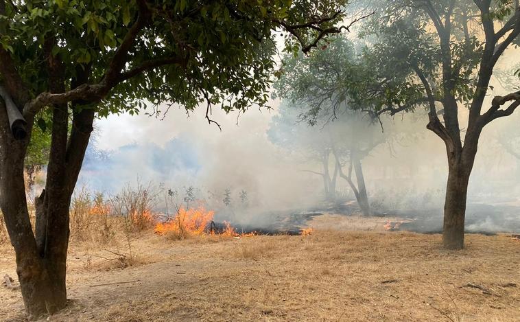 Un incendio en Tablada provoca una gran columna de humo sobre el sur de Sevilla