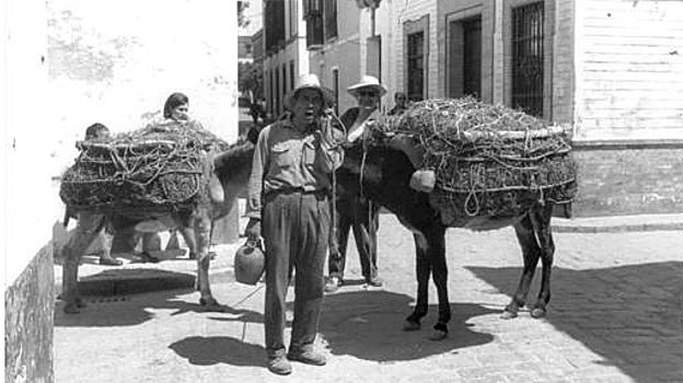 EL CALOR, UN VIEJO AMIGO DE SEVILLA COMO MUESTRAN ESTAS IMÁGENES RESCATADAS DEL ARCHIVO DE ABC