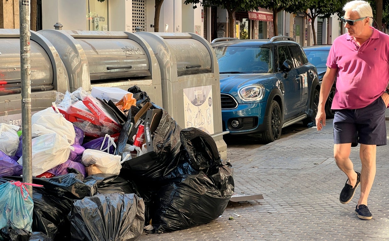 Imagen tomada hace dos semanas en la calle Feria, junto a la parroquia de Omnium Sanctorum