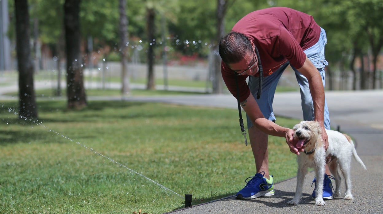 El tiempo en Sevilla: miércoles de respiro, fin de semana a 40 grados