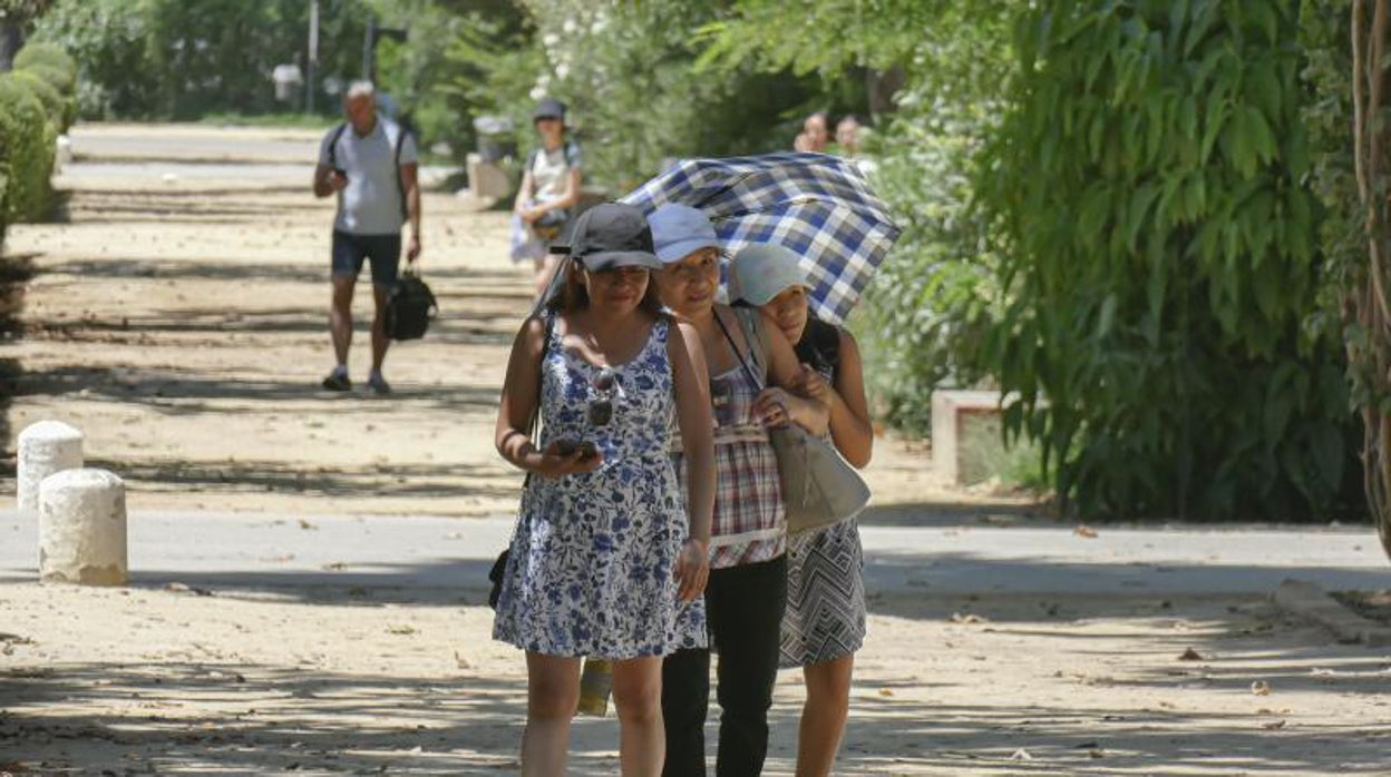 El tiempo en Sevilla: la ola de calor tiene las horas contadas