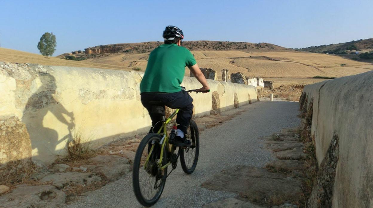 Impulsan una ruta cicloturista que atravesará Carmona y recorrerá los yacimientos romanos de la Vía Augusta