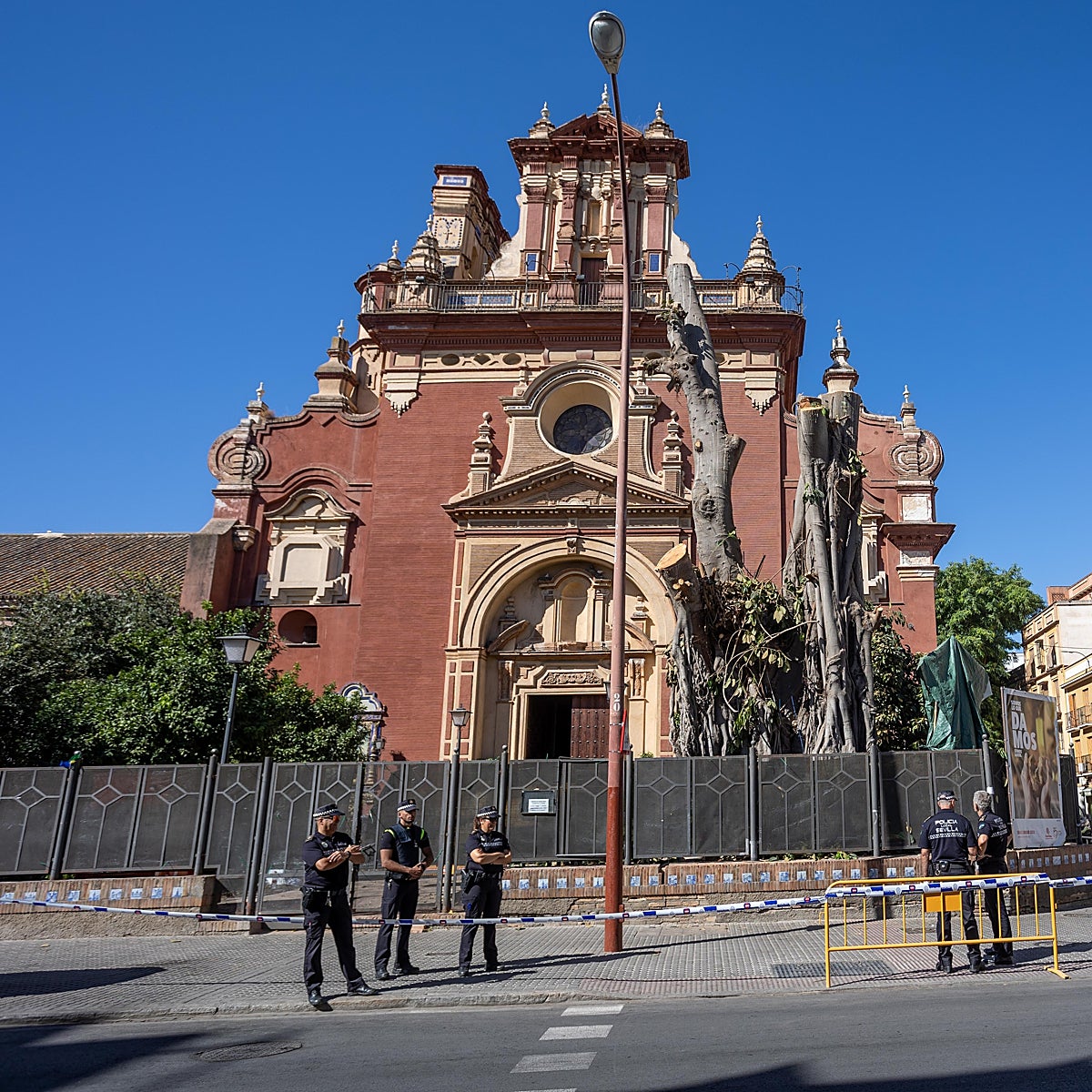 Las seis razones para la tala del ficus de la parroquia de San Jacinto