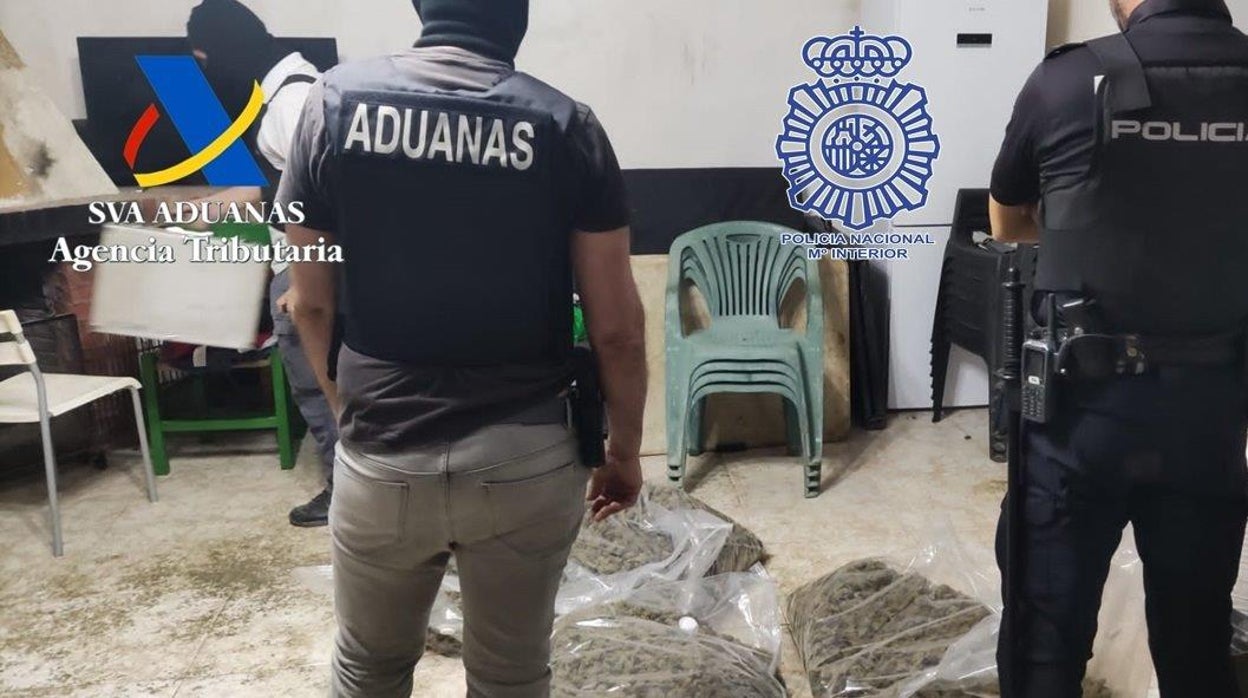 Duro golpe al narcotráfico en Coria del Río con 20 personas detenidas y 250 kilos de marihuana intervenidos