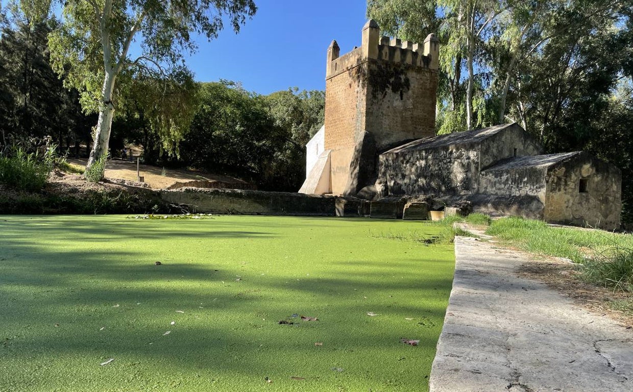 Vista de cómo las micro plantas acuáticas ha teñido de verde el río Guadaíra