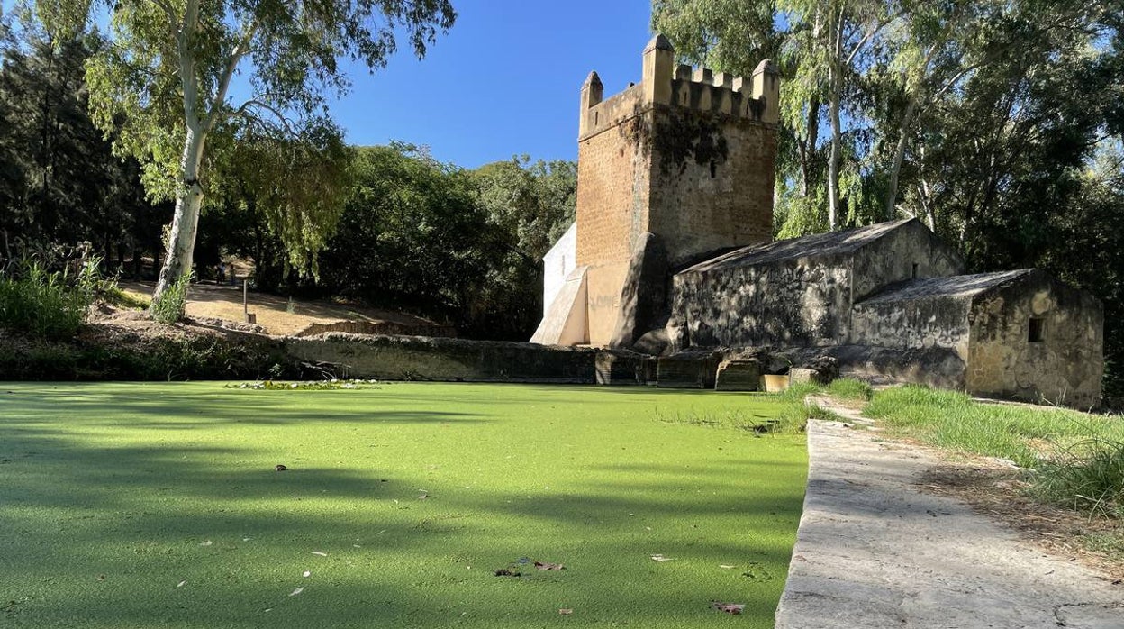 Molinos de verde en Alcalá de Guadaíra