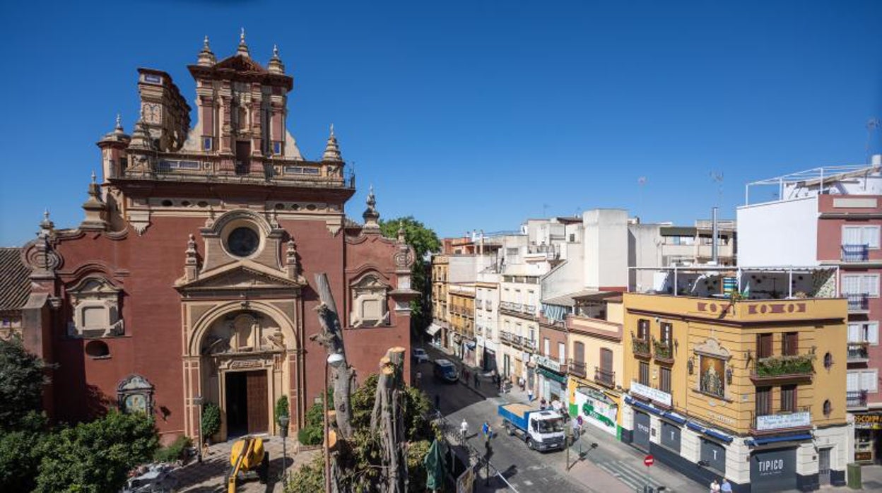 El alcalde de Sevilla recula con el ficus de Triana: «Ya no hay el mismo riesgo»